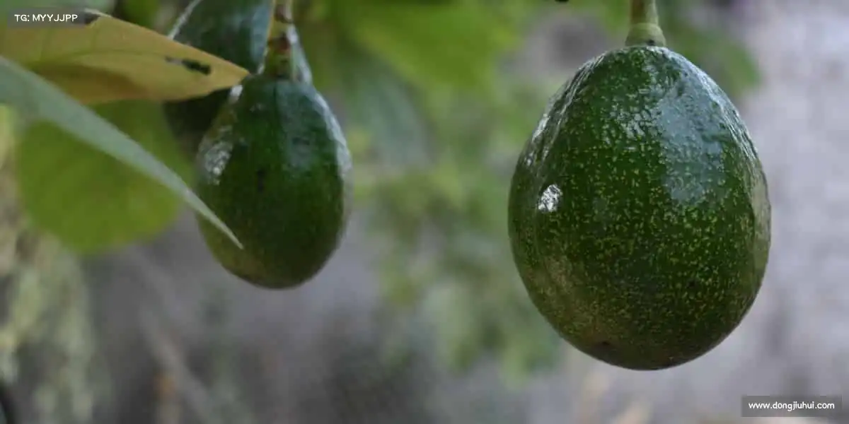 我们的品牌价值